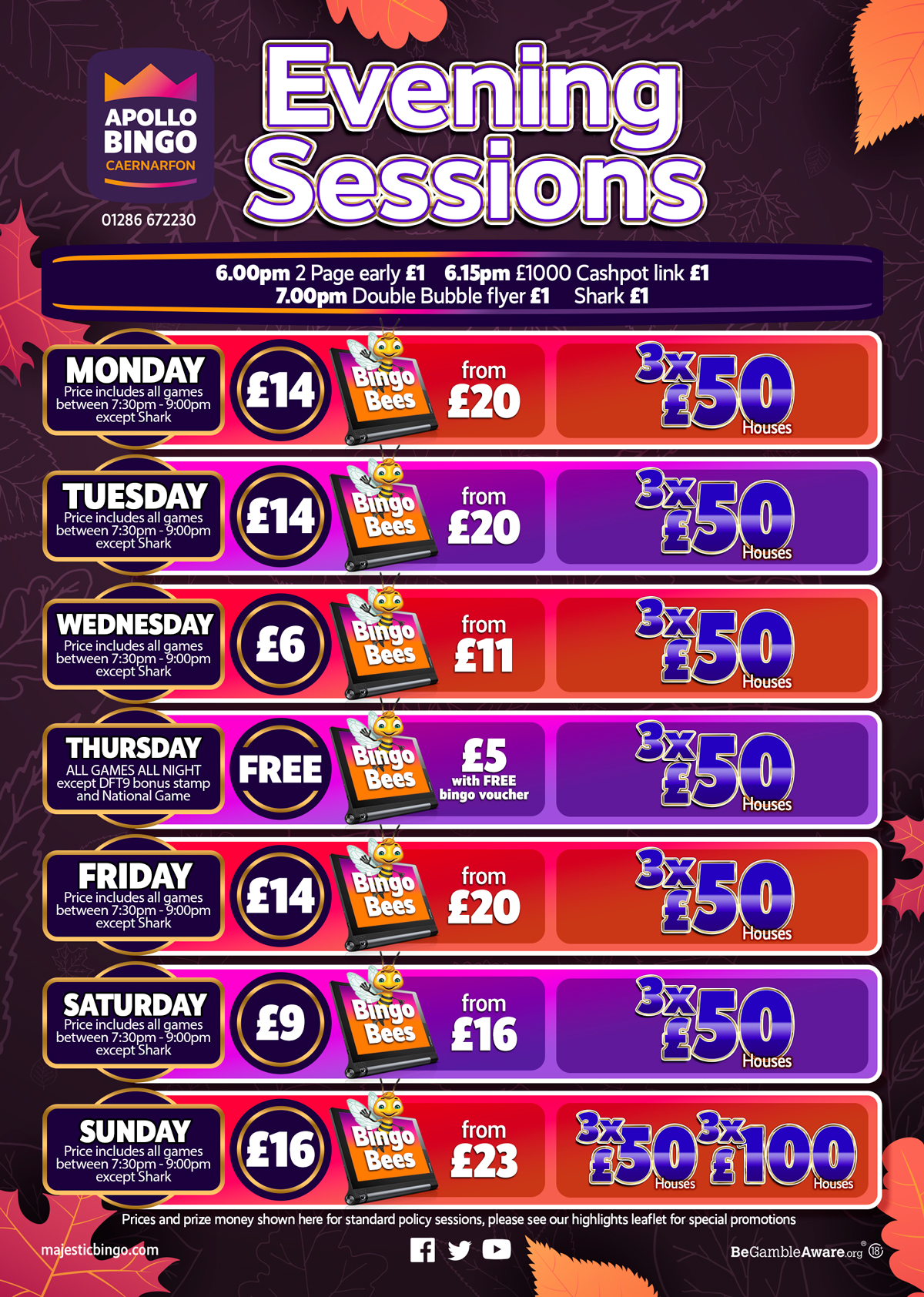 Majestic Bingo Apollo Caernarfon